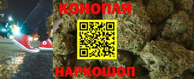 PSILOCYBIN Бугуруслан