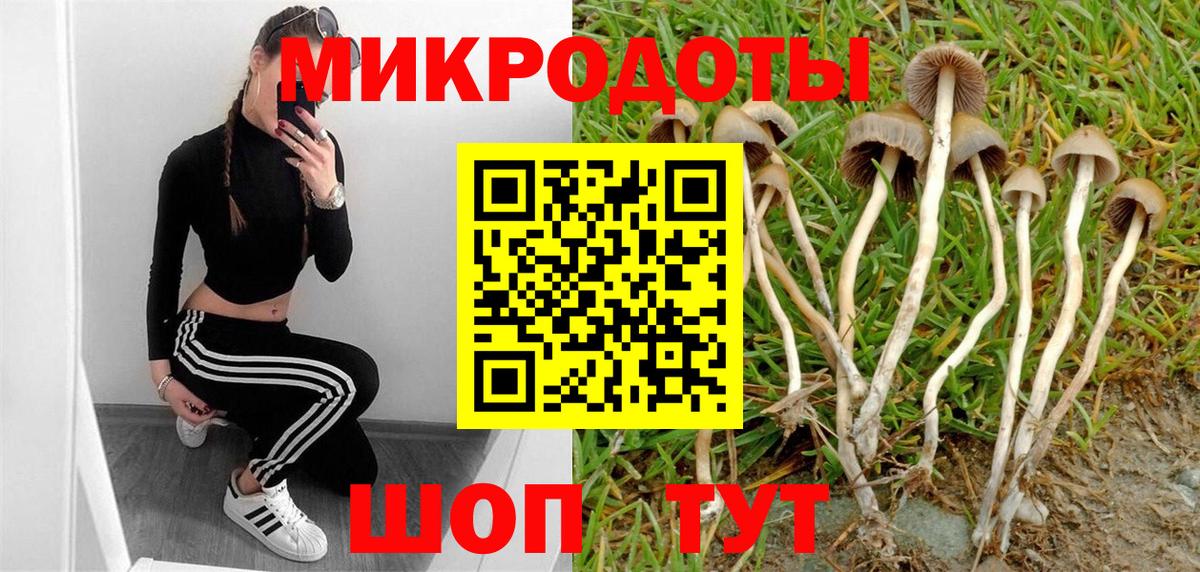 Псилоцибиновые грибы GOLDEN TEACHER Первоуральск